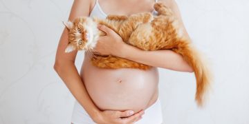 Un donna in gravidanza che tiene in braccio un gatto, veicolo spesso di toxoplasmosi