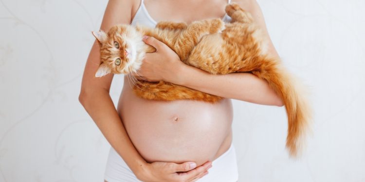 Un donna in gravidanza che tiene in braccio un gatto, veicolo spesso di toxoplasmosi