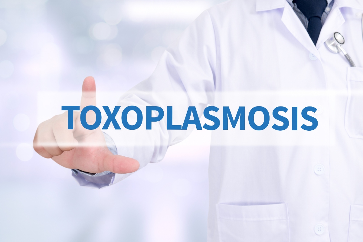 toxoplasmosi: cure 