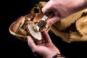 Funghi porcini: come riconoscerli e cucinarli al meglio