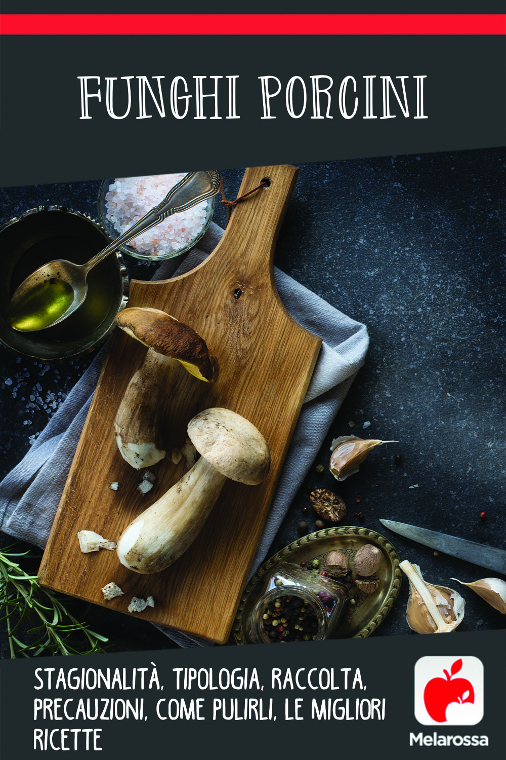 funghi porcini