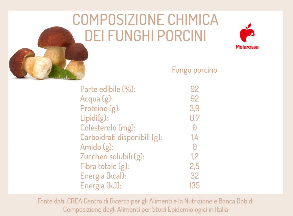 Funghi porcini stagionalità, tipi, come pulirli, le migliori ricette