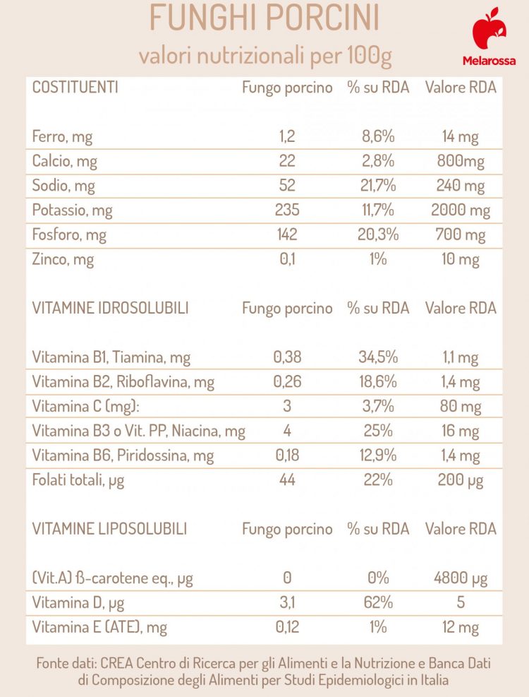 Funghi porcini stagionalità, tipi, come pulirli, le migliori ricette