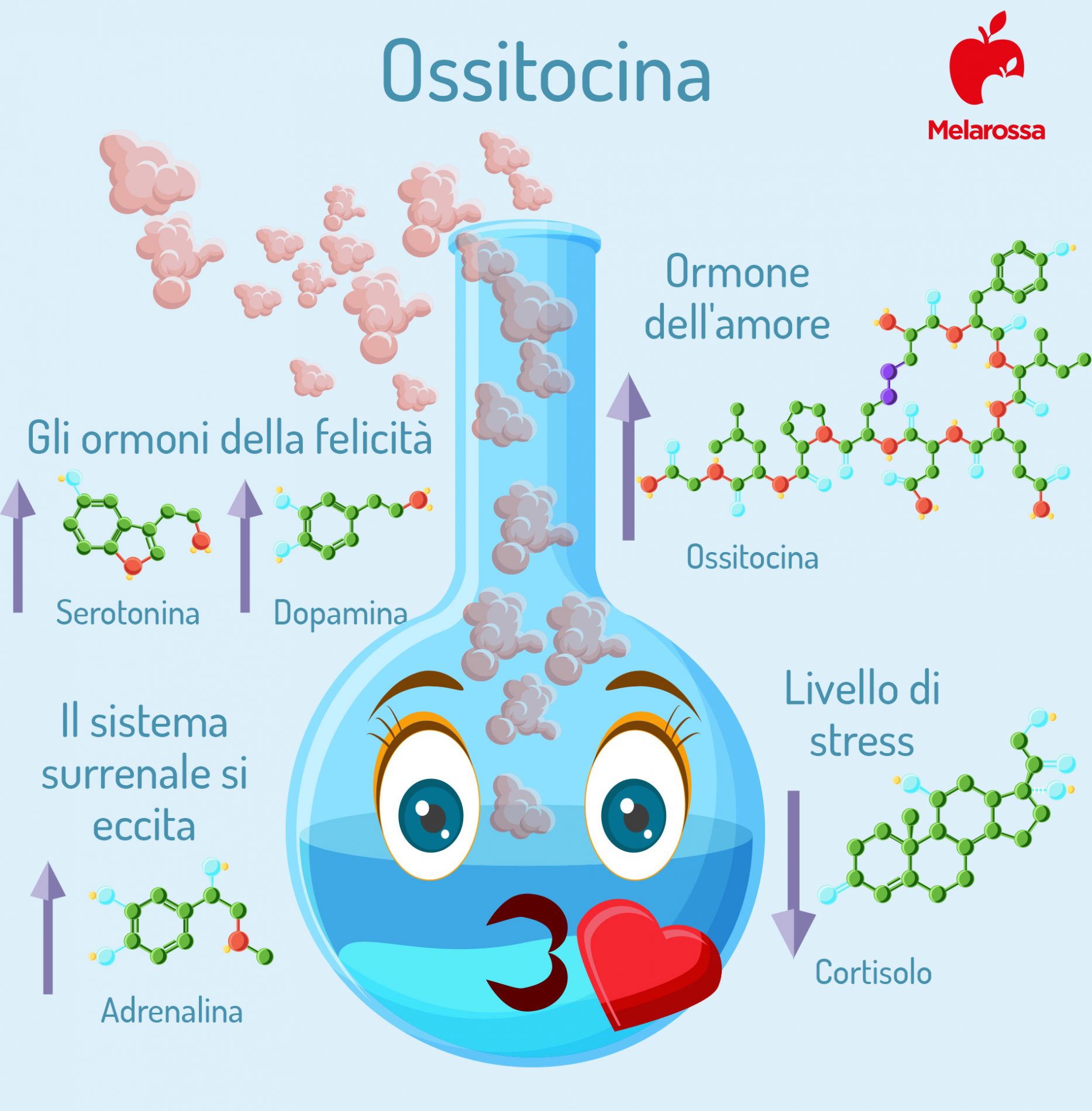 Ossitocina- Infografica