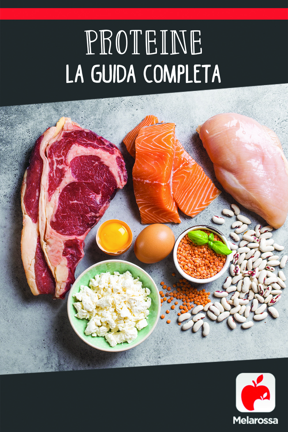 Proteine: la guida completa