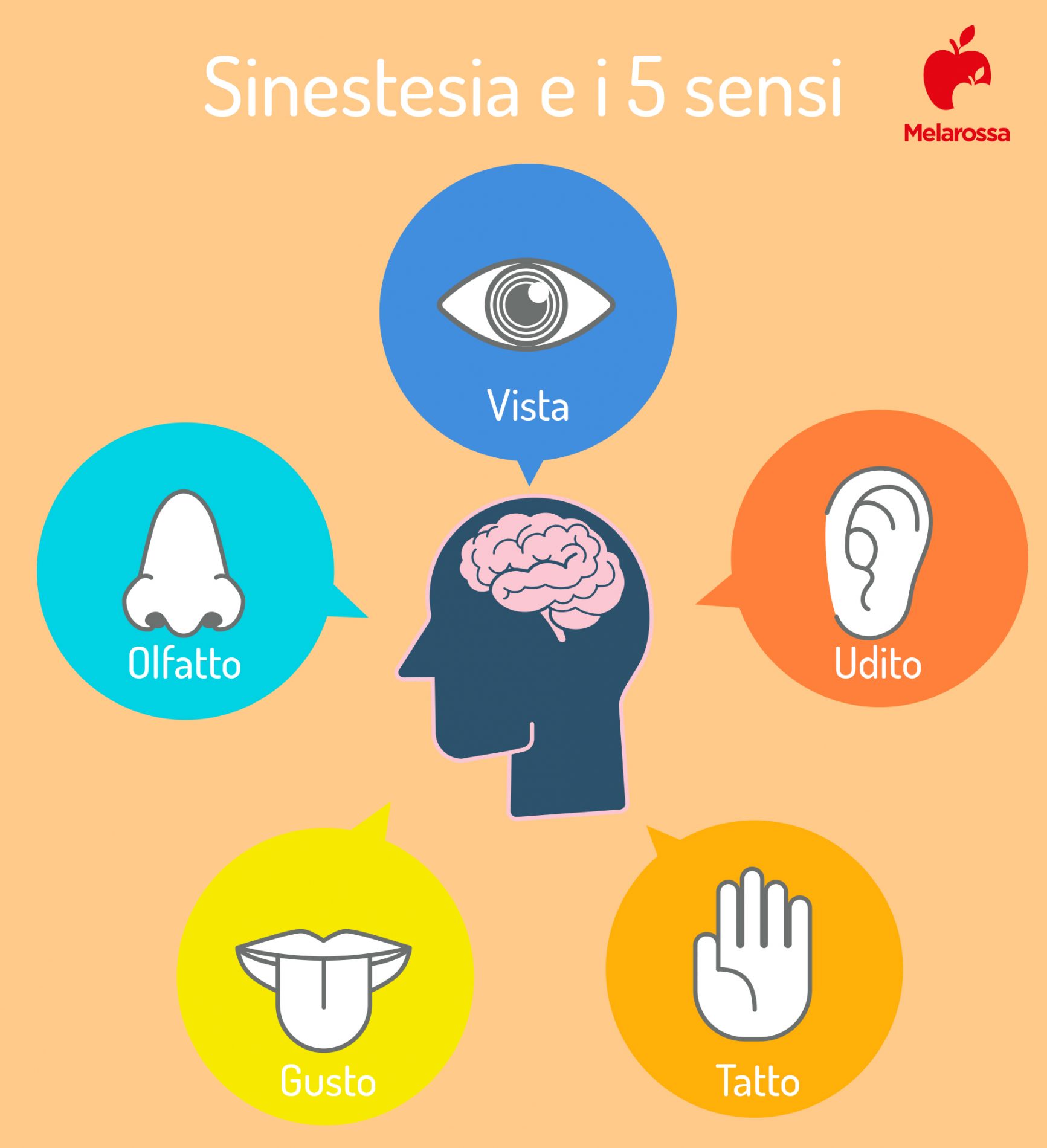 sinestesia e i 5 sensi