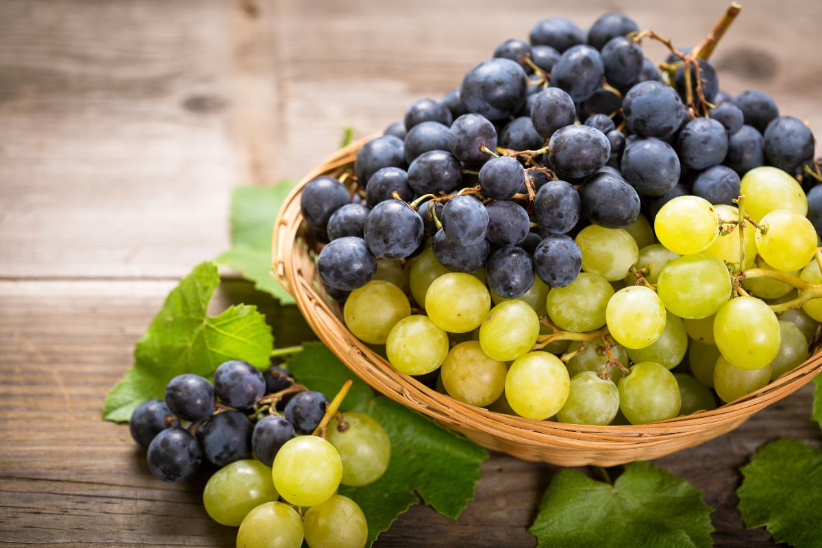 calorie dell'uva: due grappoli di uva nera e bianca dentro una ciotola