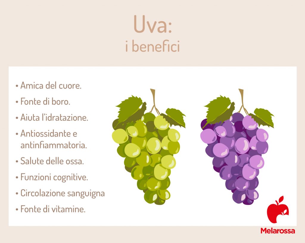 Uva proprietà, calorie, tipi e usi