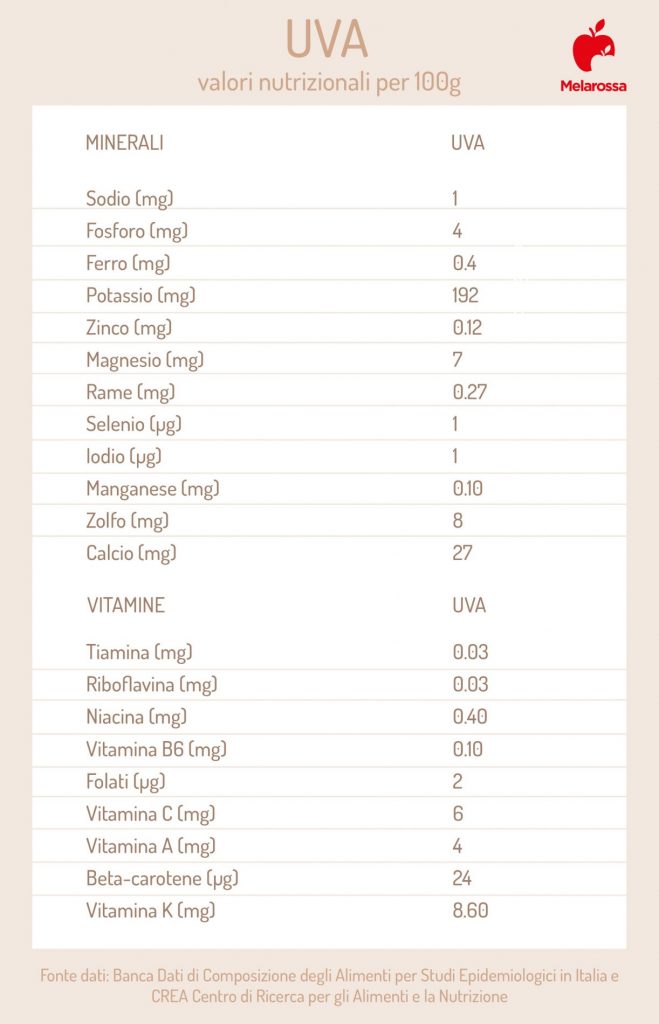 Uva proprietà, calorie, tipi e usi