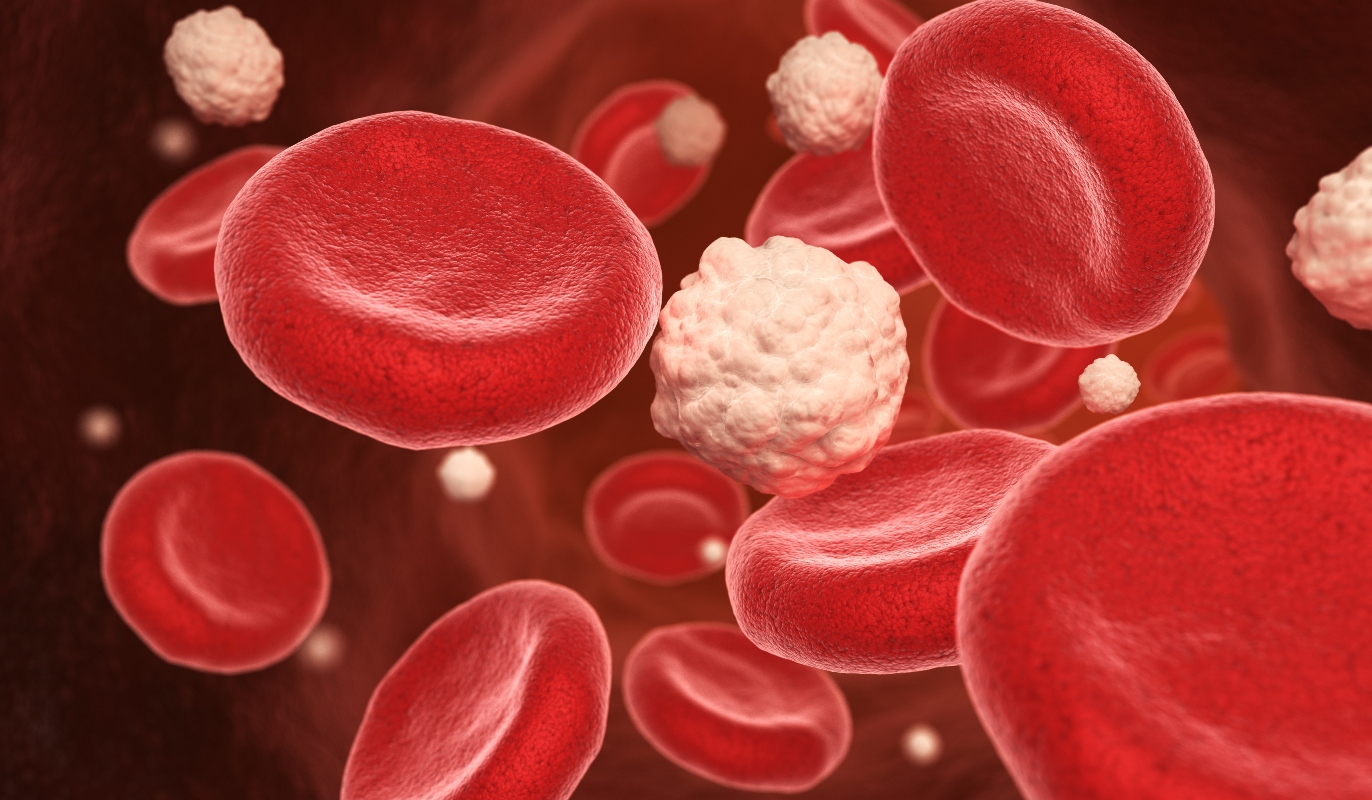 curva glicemica: glucosio nel sangue