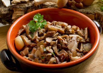ciotola di coccio piena di funghi trifolati con prezzemolo