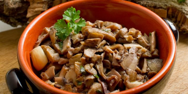 ciotola di coccio piena di funghi trifolati con prezzemolo