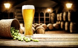 Luppolo: cos’è, proprietà, benefici, usi in cucina e bellezza, produzione della birra