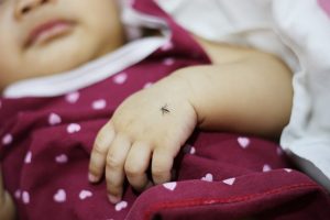 Malaria: cos’è, cause, come avviene il contagio, diagnosi, sintomi, terapia e prevenzione