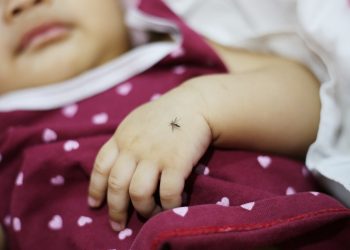 Malria: cos'è, cause, sintomi e cure