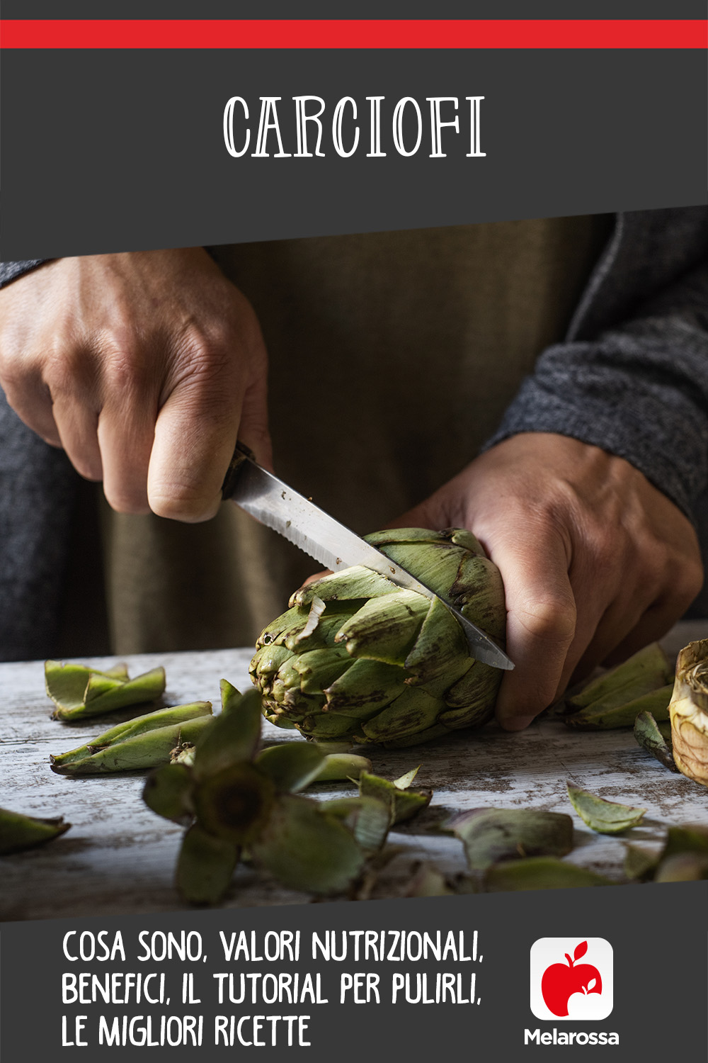 carciofi: cosa, valori nutrizionali, benefici, come pulirli, le migliori ricette