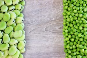 Favismo: che cos’è, alimenti e farmaci da evitare, cause, sintomi, diagnosi, terapie e dieta