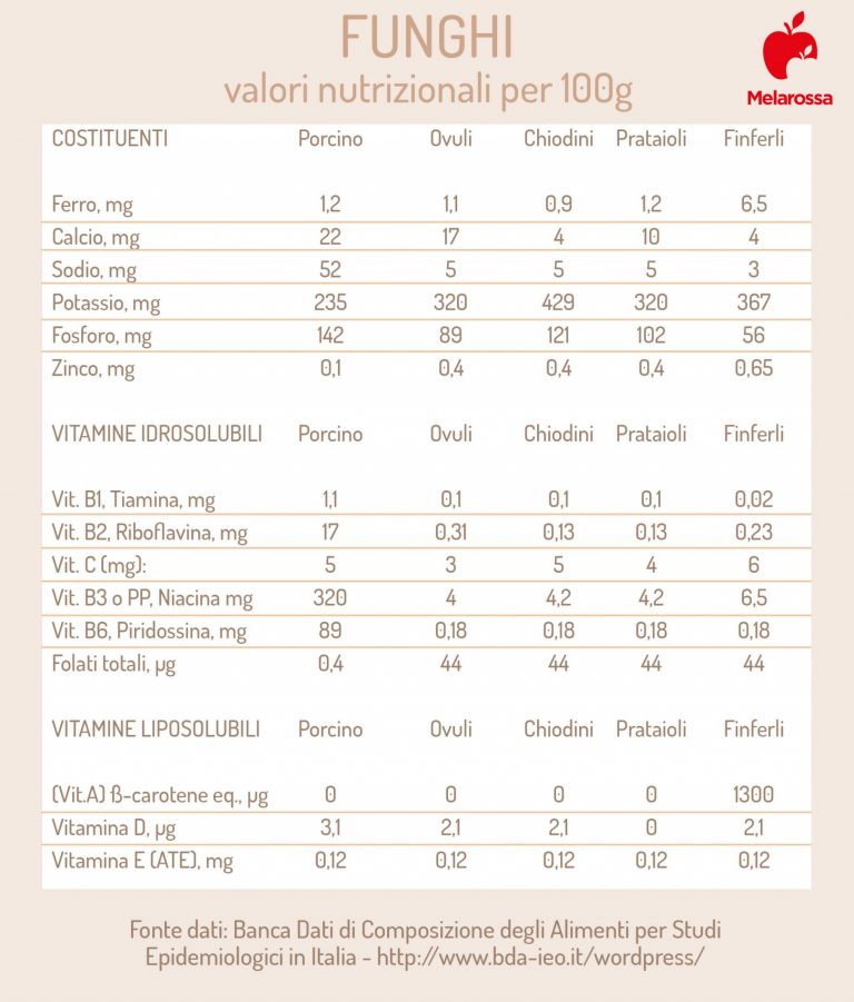 Funghi varietà, benefici e le ricette migliori per gustarli Melarossa
