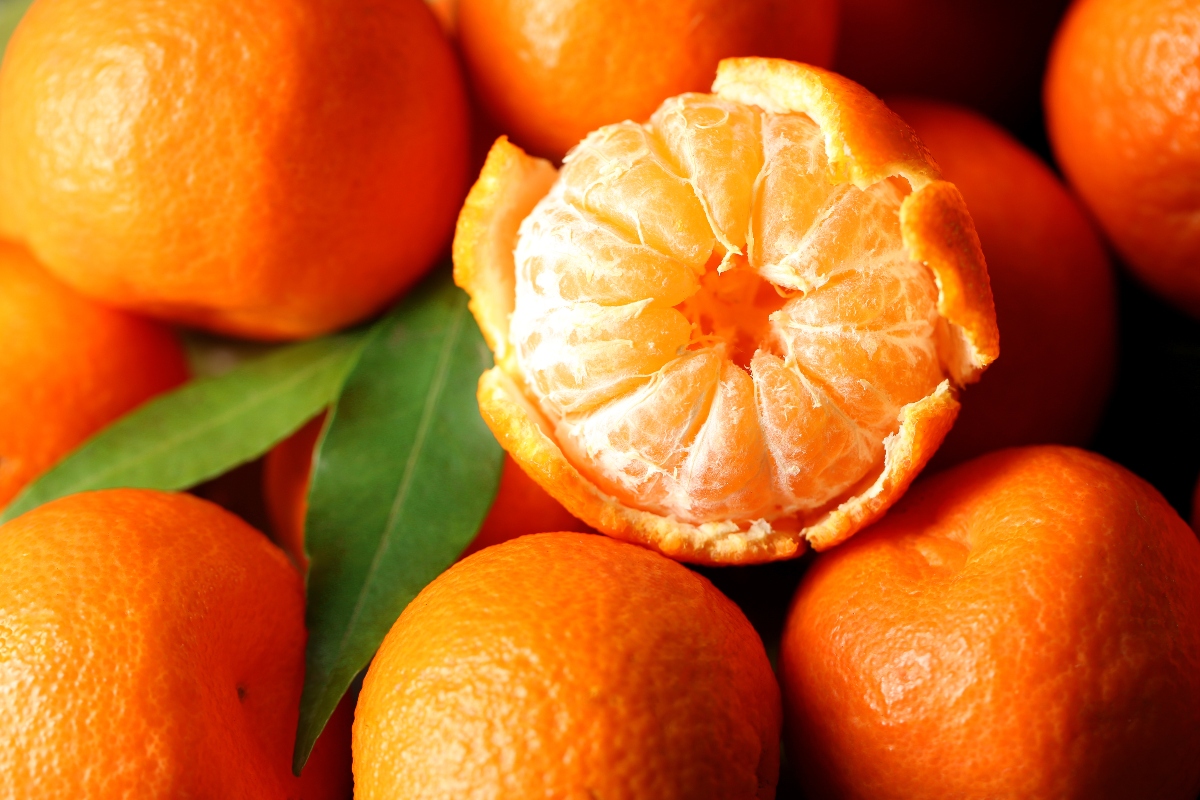 mandarino è un agrume 