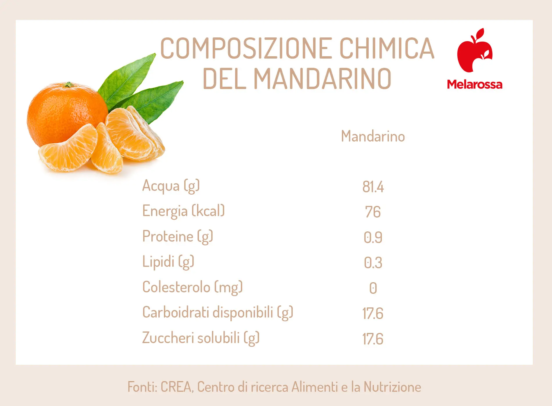 Mandarino: proprietà, calorie e usi in cucina 2 grafica sui valori nutrizionali del mandarino