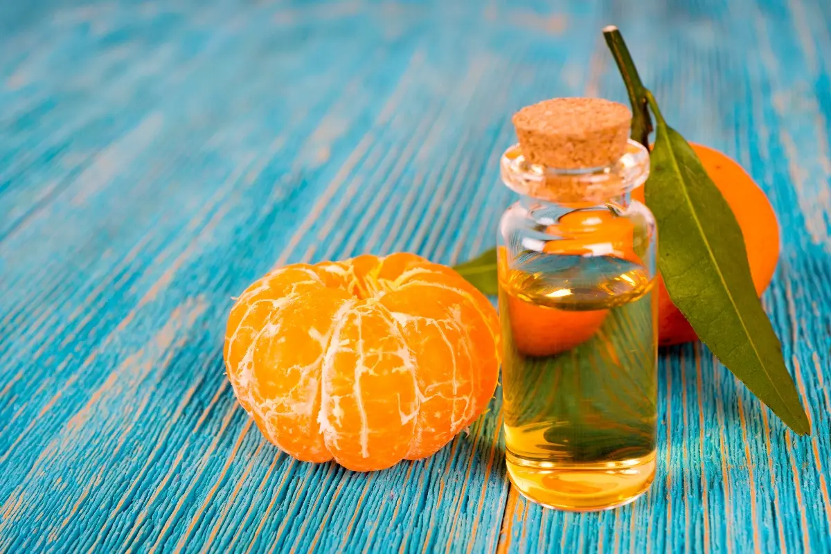 Mandarino: proprietà, calorie e usi in cucina 3 su un tavolo un mandarino sbucciato e una bottiglietta di olio essenziale al mandarino