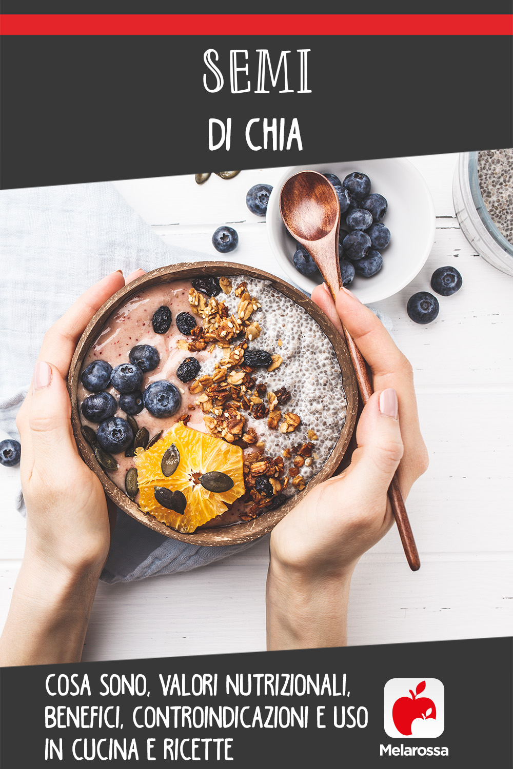 semi di Chia: proprietà, benefici e come usarli in cucina