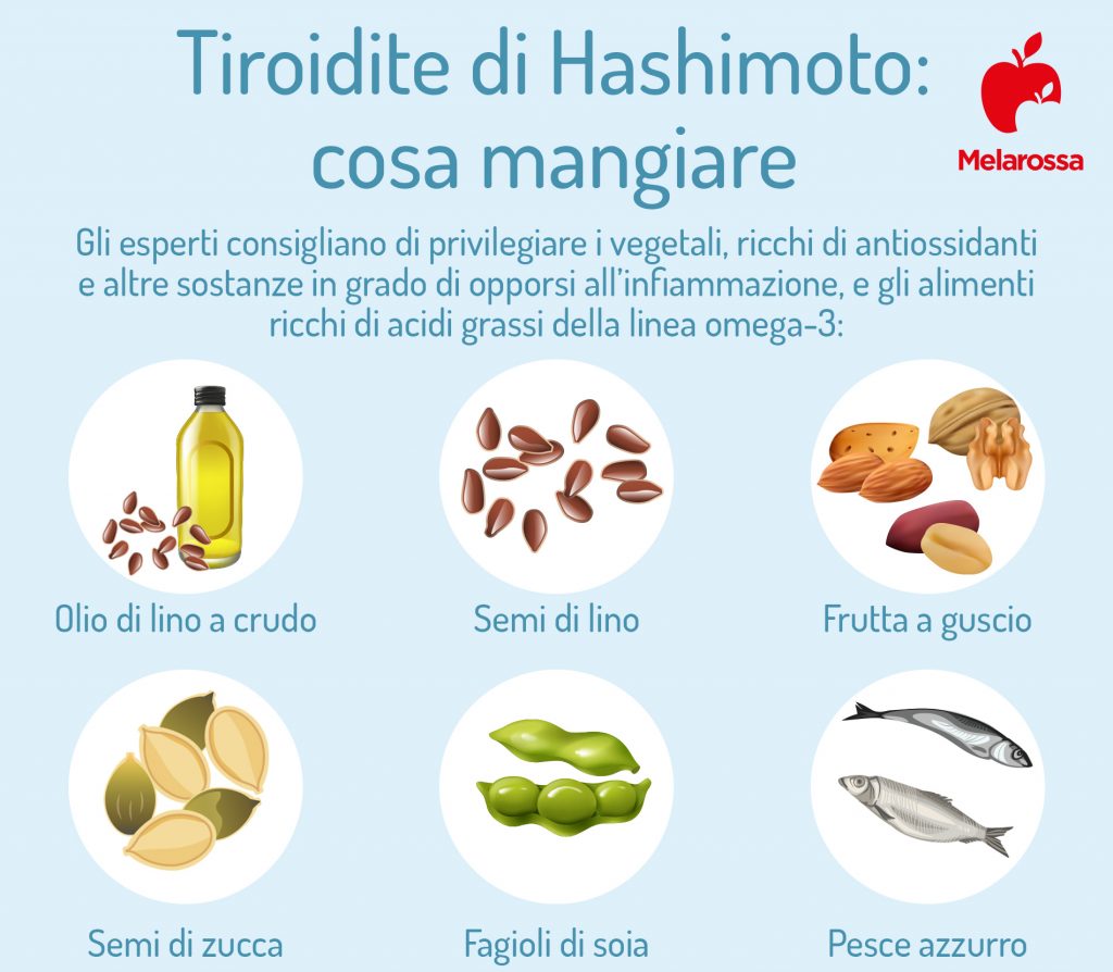 Tiroidite di Hashimoto che cos’è, sintomi, conseguenze, diagnosi e cure Tiroidite di Hashimoto che cos’è, sintomi, conseguenze, diagnosi e cure