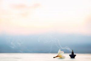 Patchouli: l’antica essenza d’Oriente tra proprietà, benefici e usi