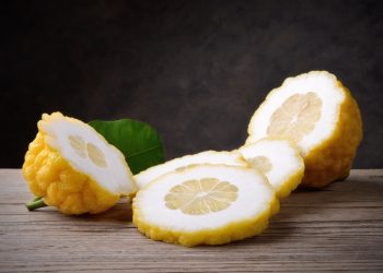 cedro: cos'è, valori nutrizionali, benefici e usi