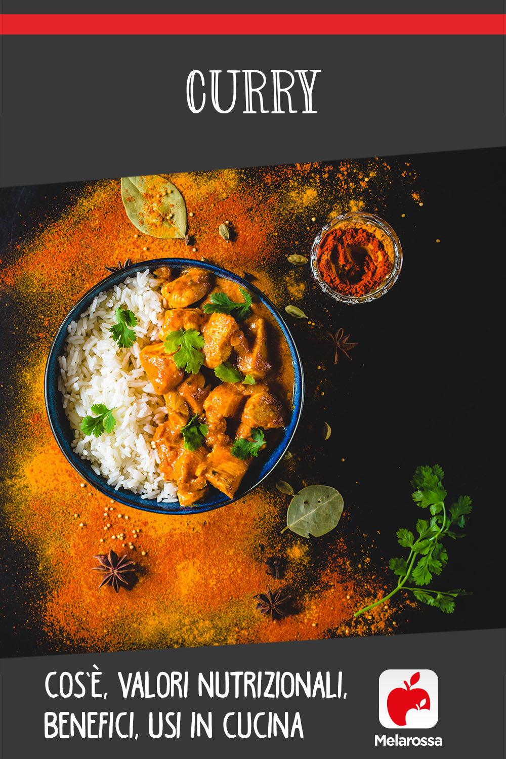curry: che cos'è, valori nutrizionali, benefici, usi in cucina