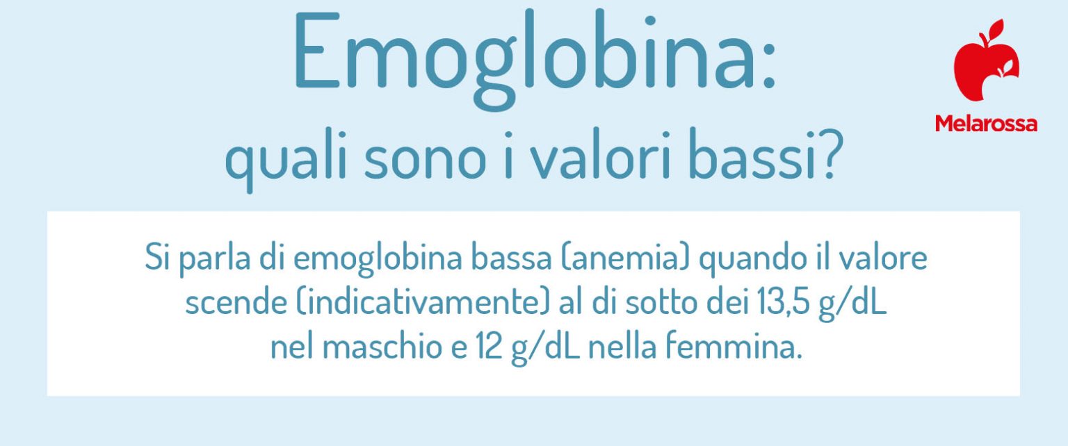 Emoglobina cos’è, valori normali e cosa fare quando è bassa o alta Emoglobina cos’è, valori normali e cosa fare quando è bassa o alta
