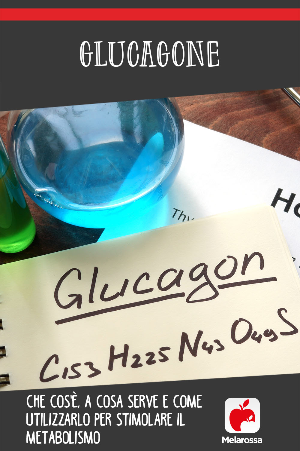 glucagone: cos'è, a cosa serve, come utilizzarlo per stimolare il metabolismo