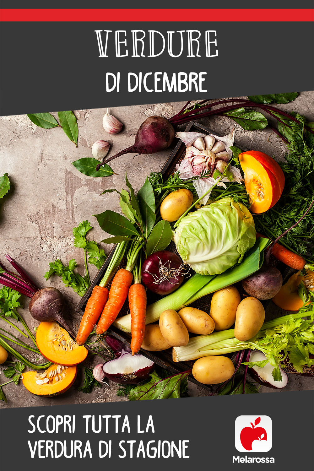 verdure di dicembre: scopri tutta la verdura di stagione 