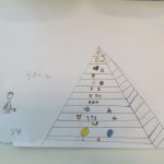 Piramida alimentare - Progetto scuola (3)