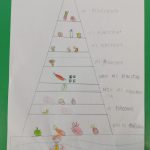 Piramida alimentare - Progetto scuola (7)