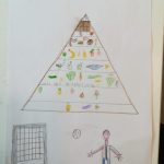 Piramida alimentare - Progetto scuola (9)