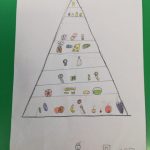 Piramida alimentare - Progetto scuola (12)