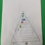 Piramida alimentare - Progetto scuola (19)