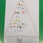 Piramida alimentare - Progetto scuola (21)