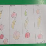 tabella stragionalità frutta e verdure - progetto scuola (8)