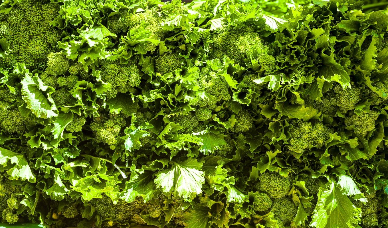 cime di rapa: benefici