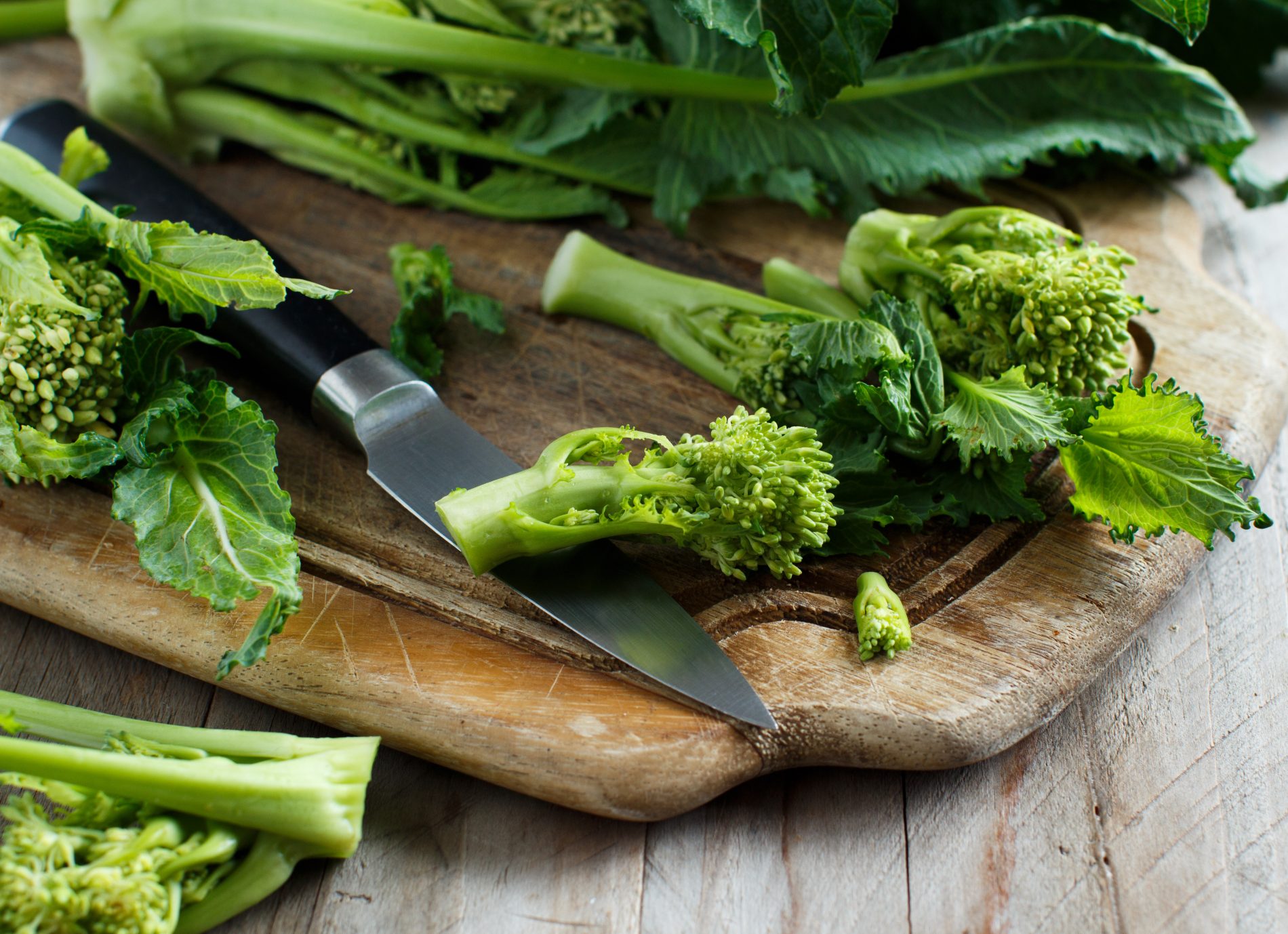 cime di rapa: come cucinarle