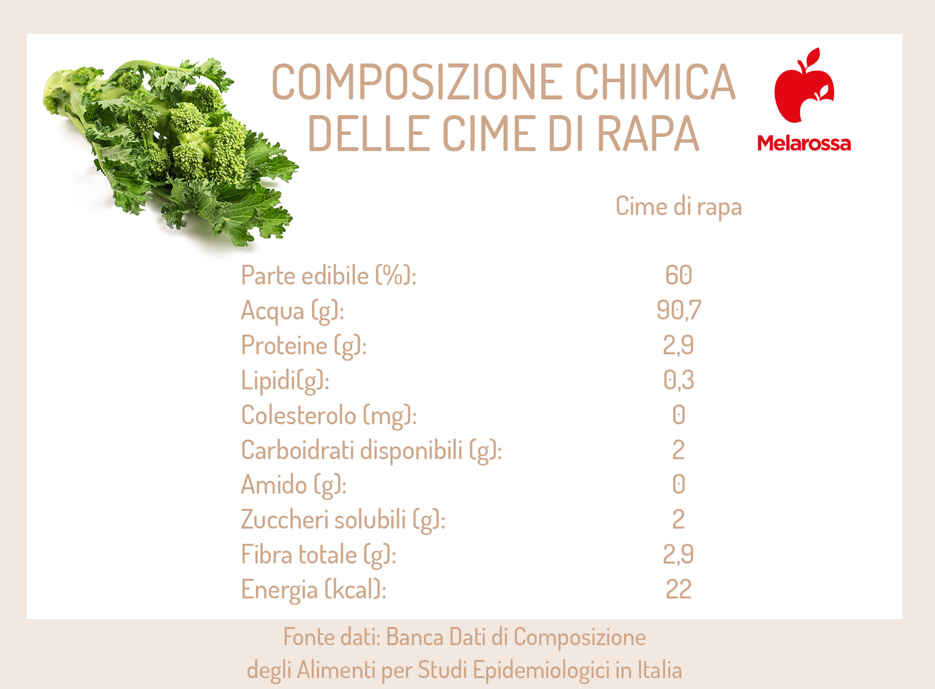cime di rapa: composizione chimica e calorie