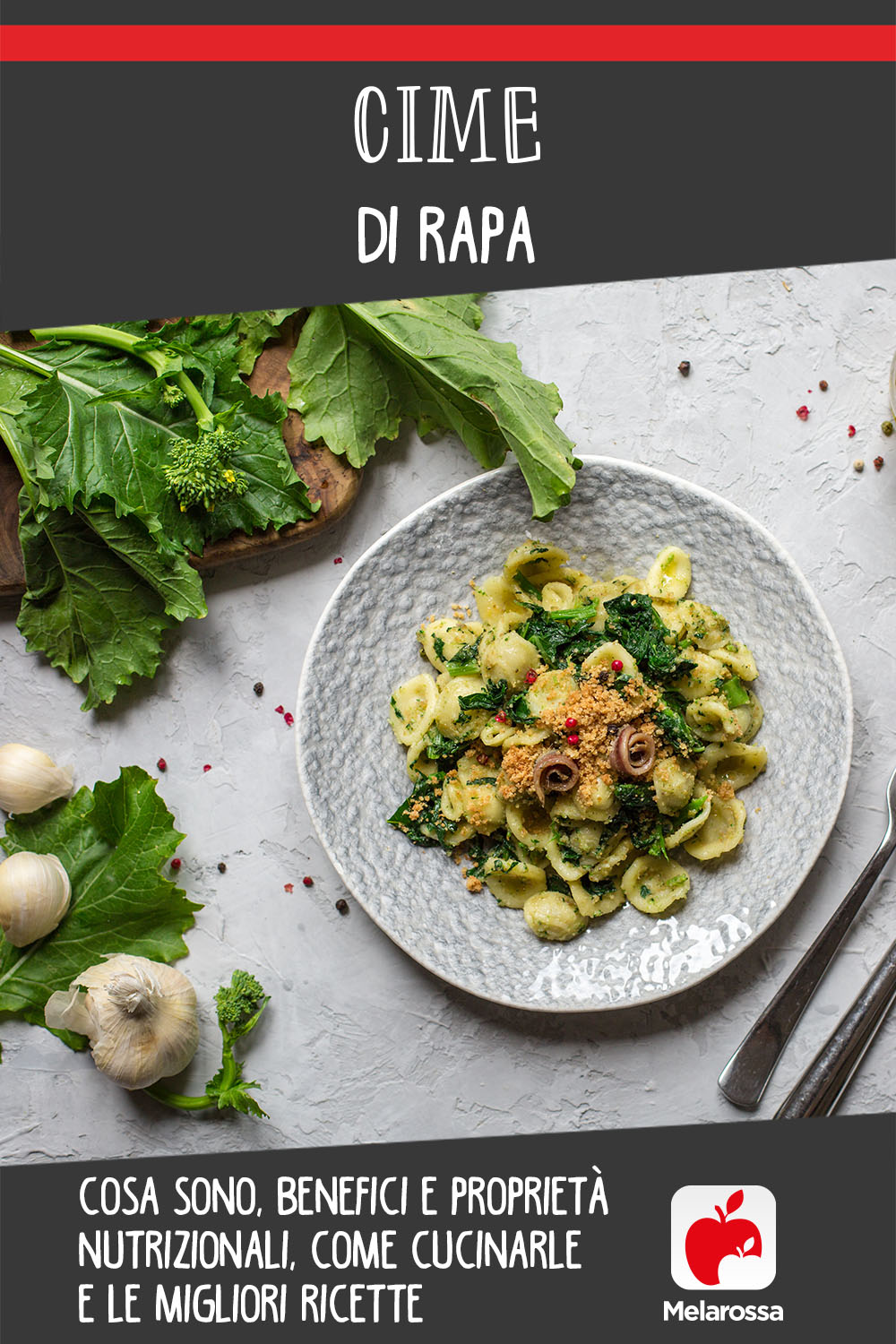 cime di rapa: cosa sono, come pulirle e cucinarle, le migliori ricette