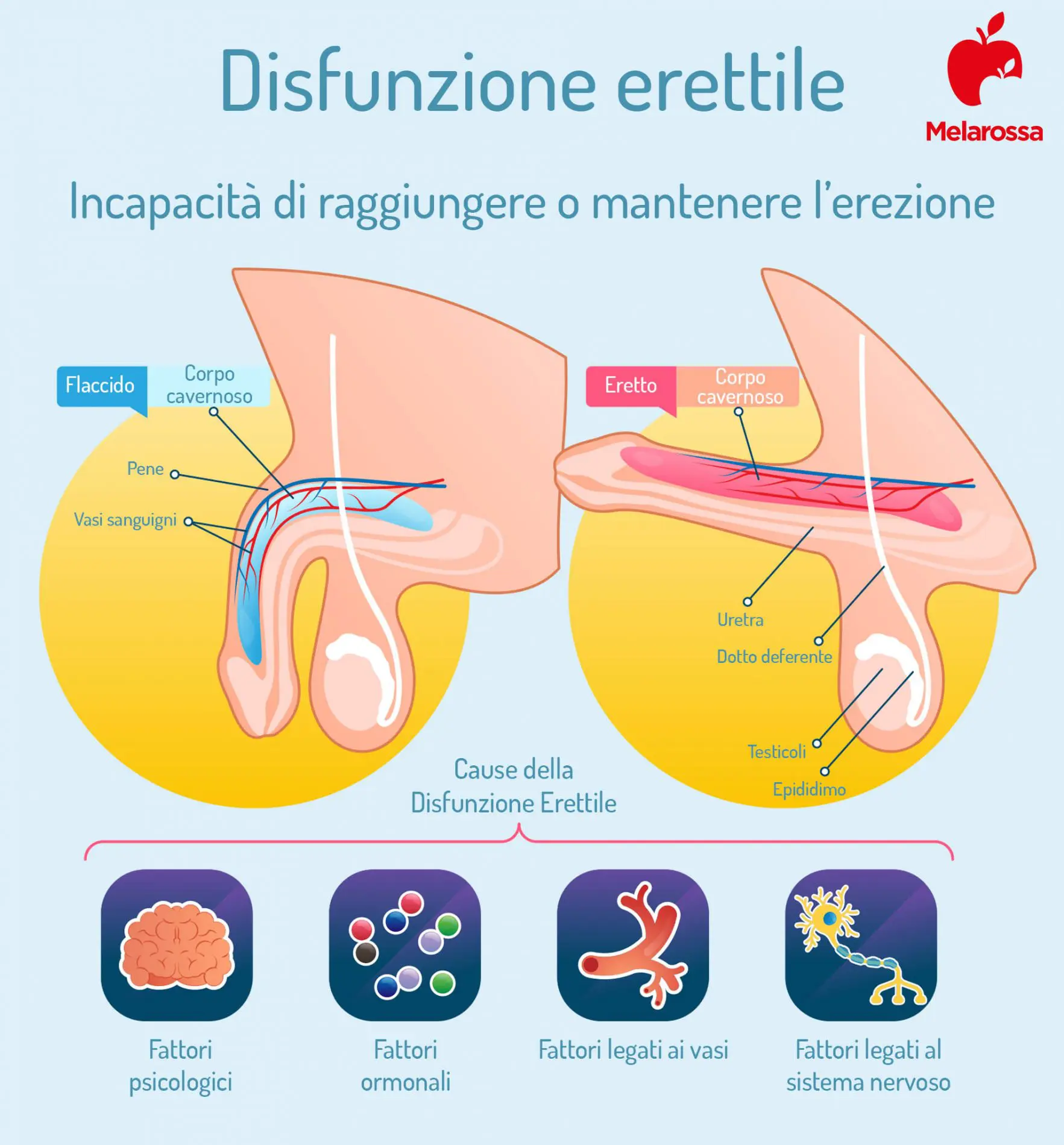 disfunzione erettile