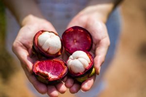 Mangostano: il frutto tropicale tra proprietà, benefici, uso terapeutico e ricette culinarie