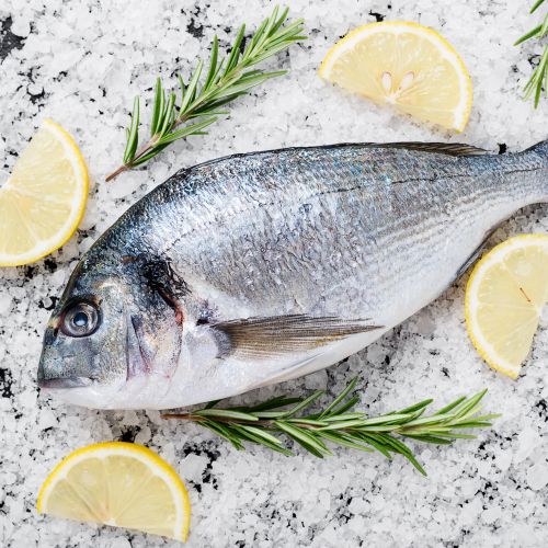 Raw fresh organic dorado or sea bream on sea salt on black stone