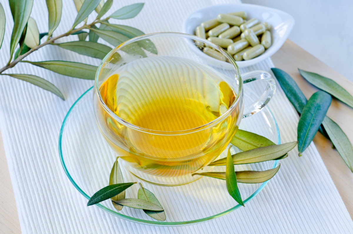 antibiotici naturali: foglie di oliva