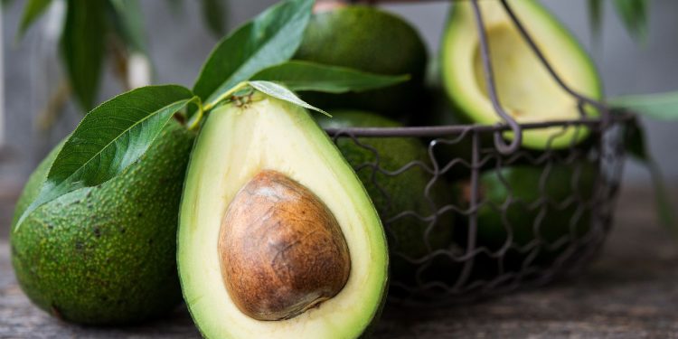 Avocado: calorie e se fa ingrassare