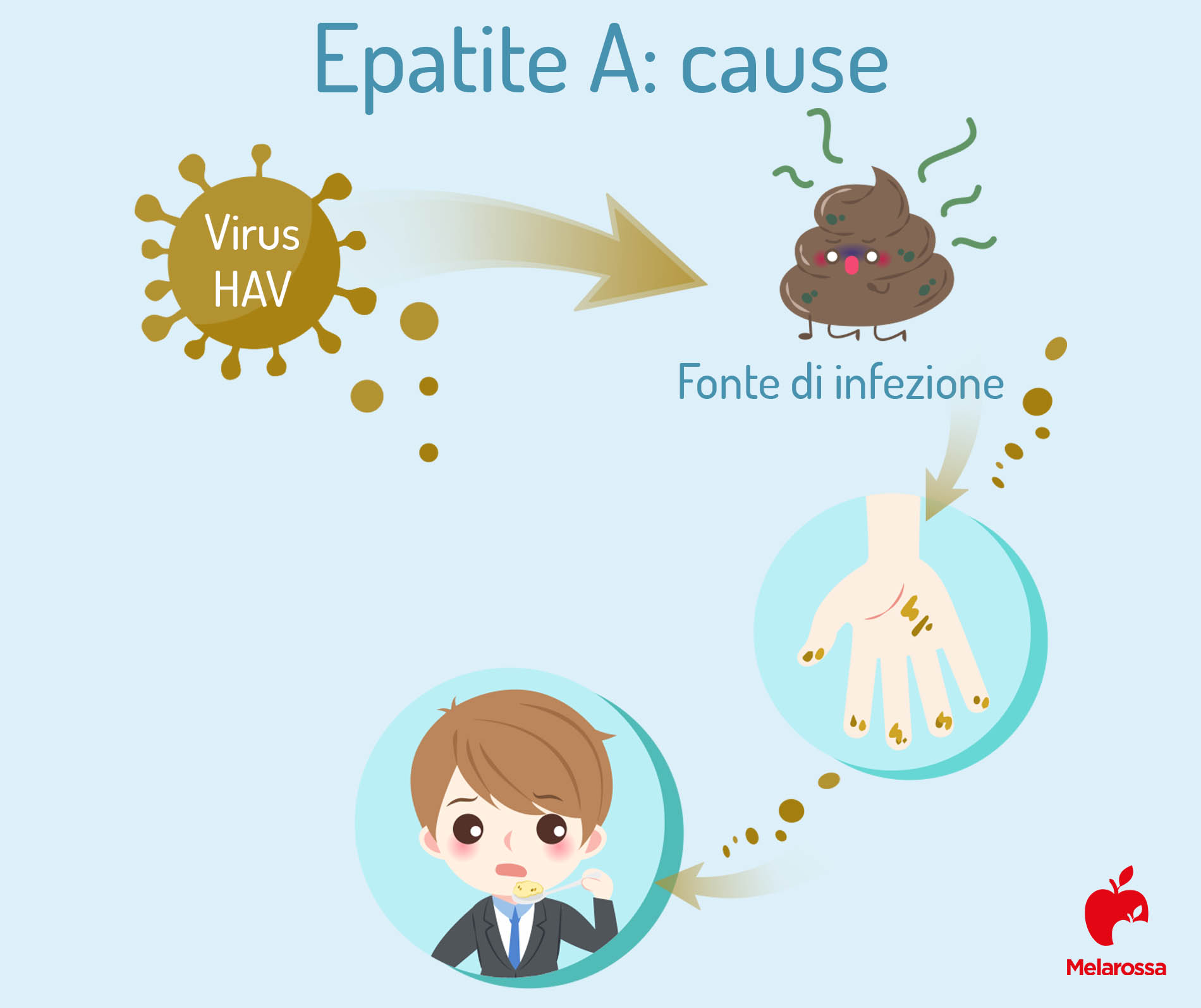 epatite A: cause del virus HAV